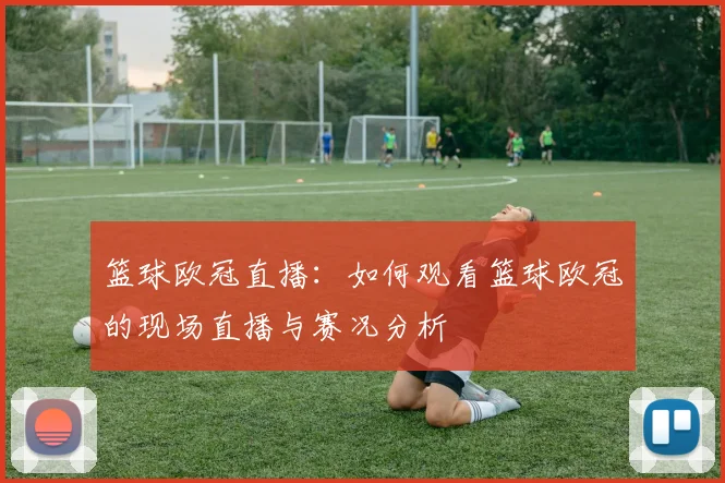 篮球欧冠直播：如何观看篮球欧冠的现场直播与赛况分析